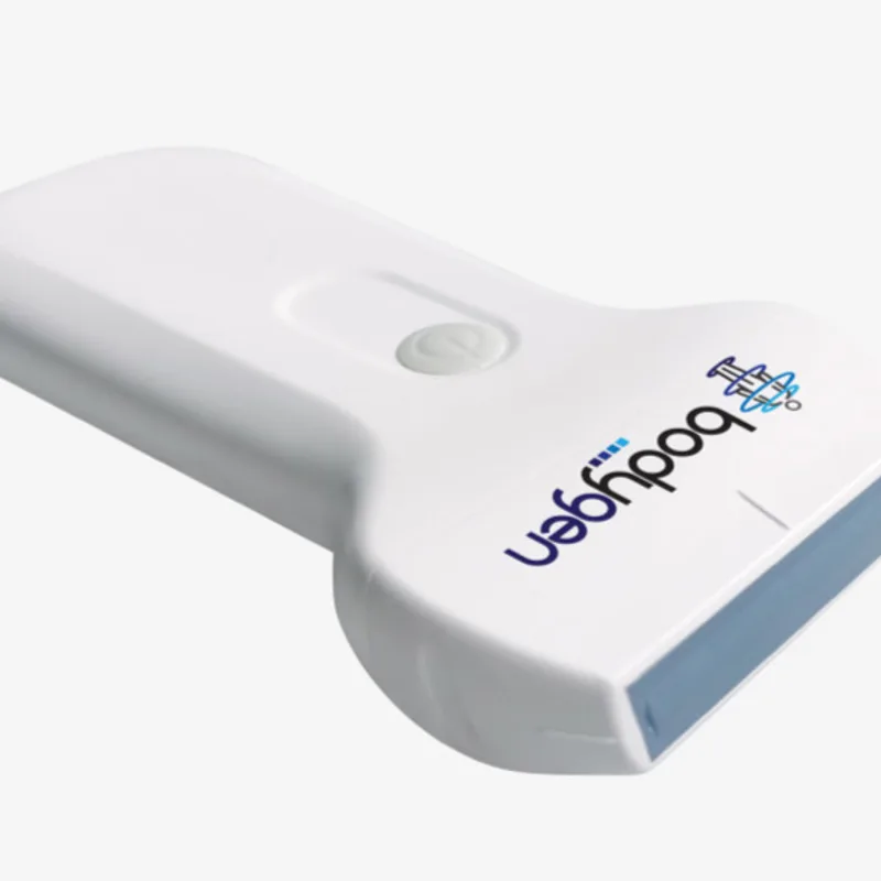 BodyGen